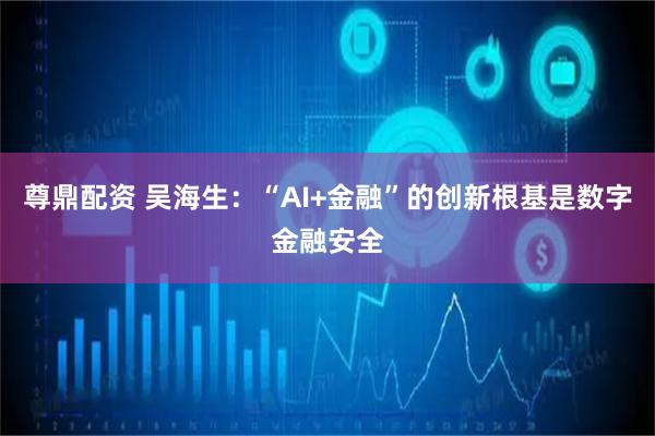 尊鼎配资 吴海生:“AI+金融”的创新根基是数字金融安全