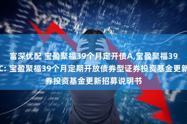 富深优配 宝盈聚福39个月定开债A,宝盈聚福39个月定开债C: 宝盈聚福39个月定期开放债券型证券投资基金更新招募说明书