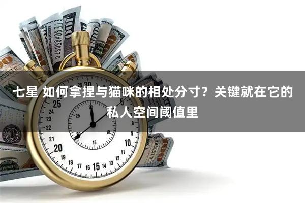 七星 如何拿捏与猫咪的相处分寸？关键就在它的私人空间阈值里