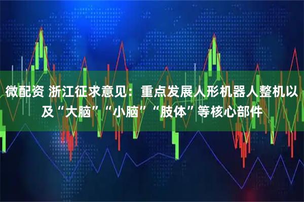 微配资 浙江征求意见：重点发展人形机器人整机以及“大脑”“小脑”“肢体”等核心部件