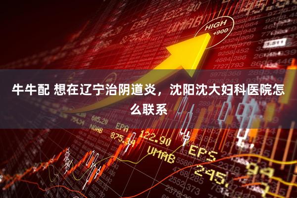 牛牛配 想在辽宁治阴道炎，沈阳沈大妇科医院怎么联系
