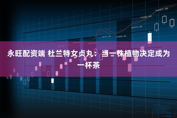 永旺配资端 杜兰特女贞丸：当一株植物决定成为一杯茶