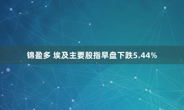 锦盈多 埃及主要股指早盘下跌5.44%