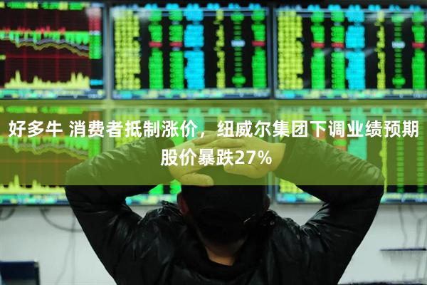 好多牛 消费者抵制涨价，纽威尔集团下调业绩预期 股价暴跌27%