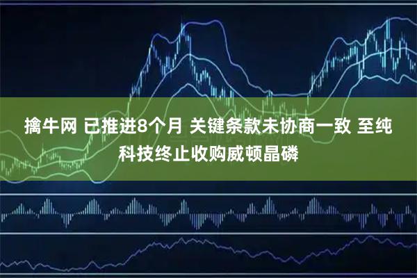 擒牛网 已推进8个月 关键条款未协商一致 至纯科技终止收购威顿晶磷
